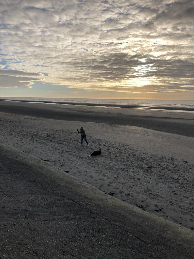 Villa Fernley De Panne Exteriér fotografie